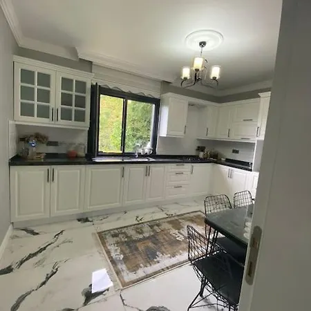 Modern Koey Evi Villa Trabzon