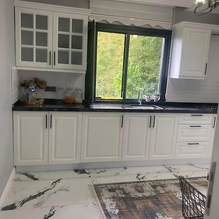 Modern Koey Evi Trabzon