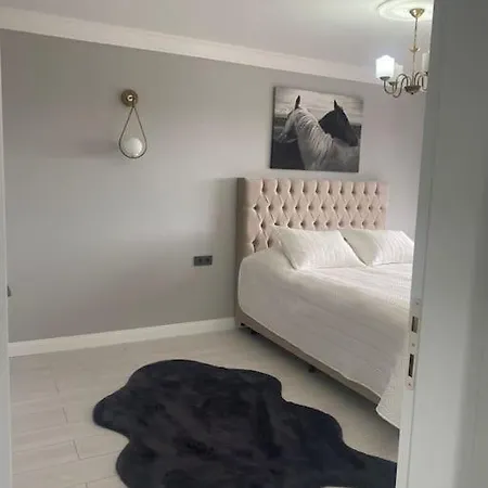 Villa Modern Koey Evi